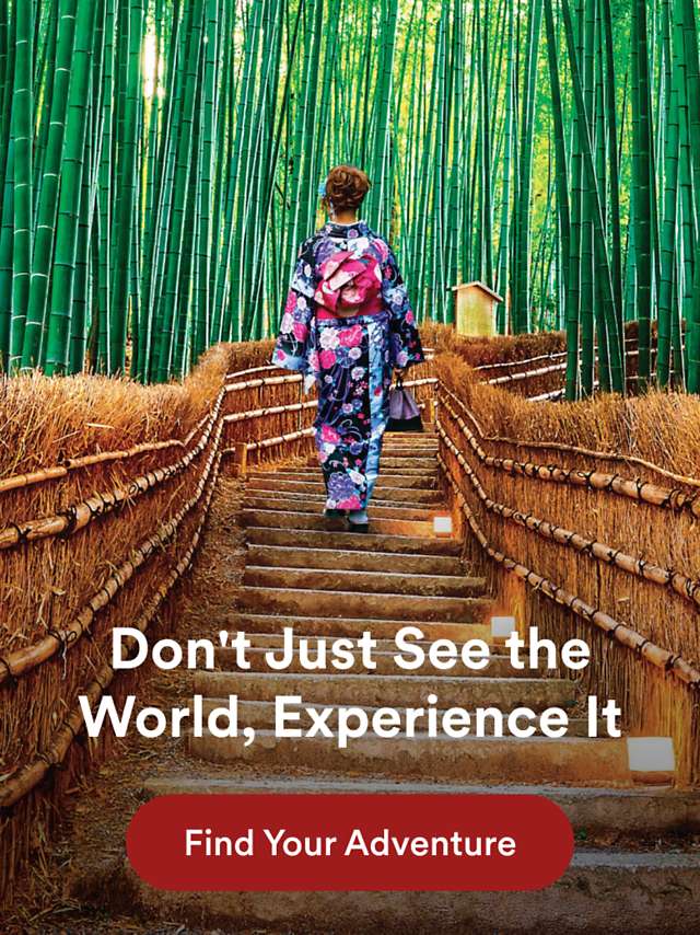 Lady walking through bamboo forest in Japan on an Overseas Adventure Travel with a promotion to save $6,000 on 2026 adventures.
