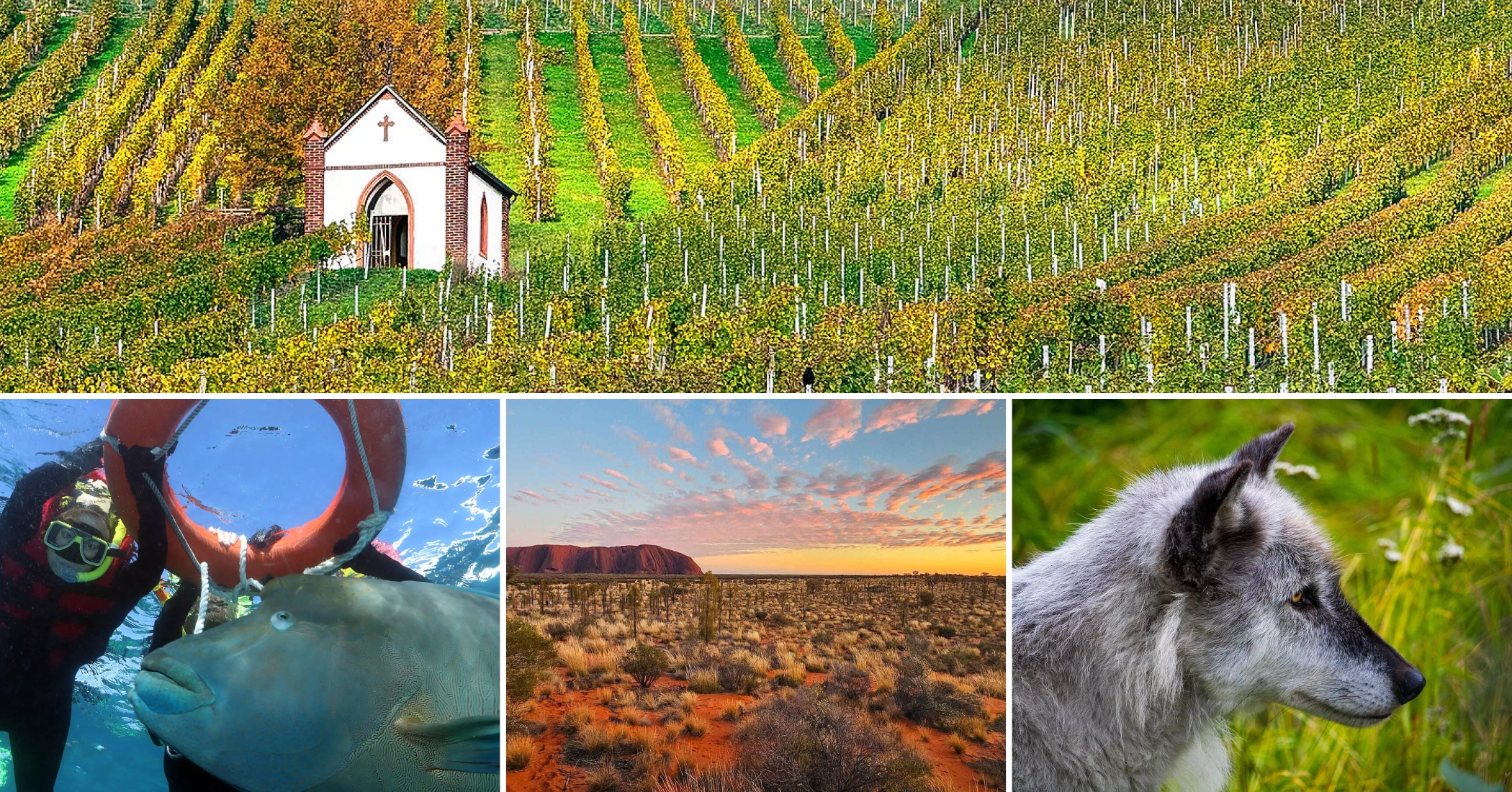 Enter Our Travel Photo Contest