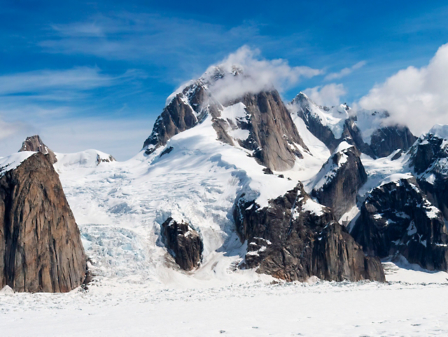 cf80bc7ddf6b454c8723af4e00cab4d4