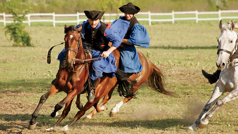 Something Special: Exclusive Itineraries by Sea & River for 2026