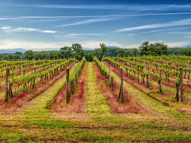 67b9ffa3982c4fd99f0faf4e00db757e