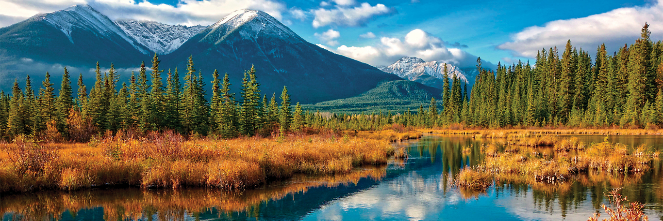 53 Brits Travel Across the Pond to Ride the World's Best Wooden