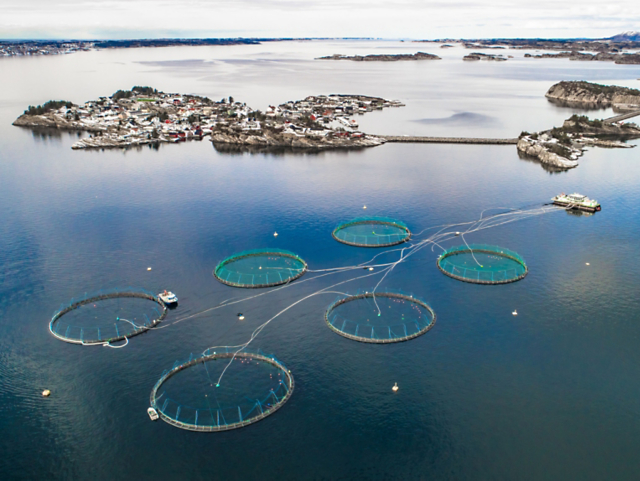 9bf1c5c648bf4aeabfcfaf4e00cd1b9d