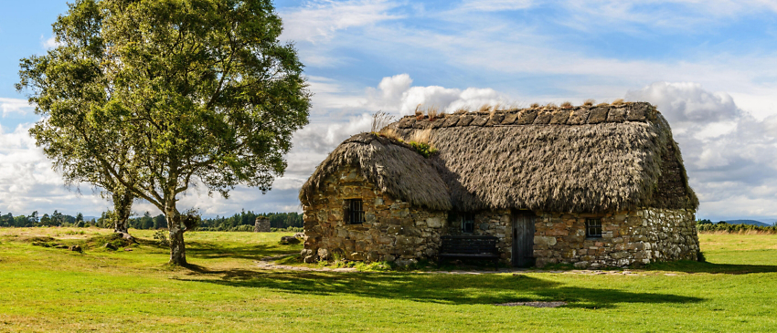 How Highland Cows Are Restoring Culloden Battlefield's Historic