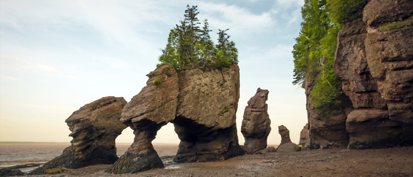 Discover & Experience the Bay of Fundy Tides