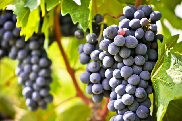 30c9d8d9c5bc4aef8d3daf4e0178d9dd