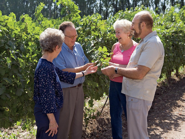 0f6f21aee097481dba84af4e00de5db9