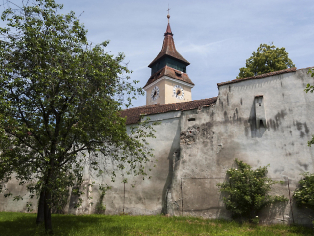 d423baa584b1414e8effb13400e0ee7c