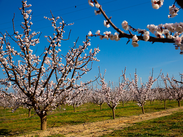 1e149f54542a4b948967b405014880cf