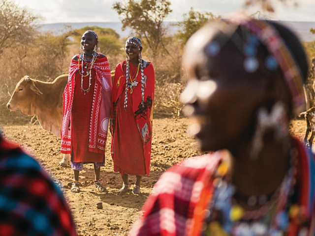 Safari Serengeti: Tanzania Lodge & Tented Safari