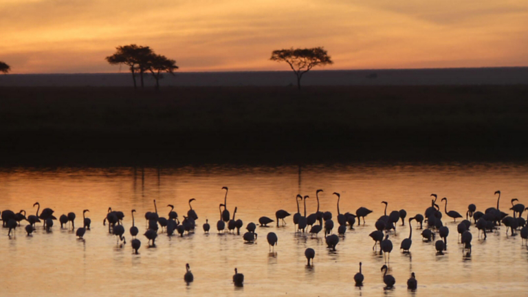 Expectations Surpassed