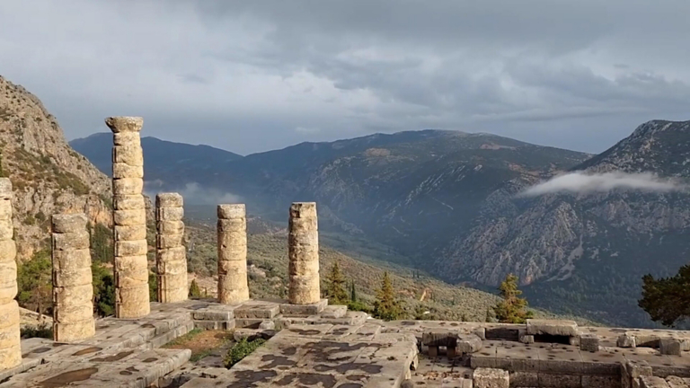Istanbul: "Cat Capital" of the World