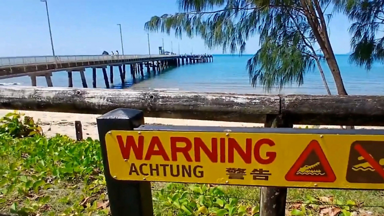 Coastal Curiosities of Palm Cove with Maree Nicolson