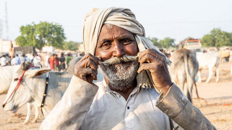 Small Groups, Big Moments: Yvonne Hunter's Heart of India Adventure