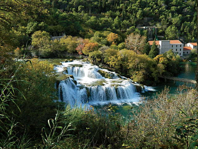 ee2d72d2d6a044199262af4f010e6919