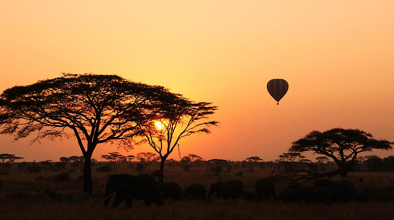 Soaring Above the Serengeti with Elieza Ikamba