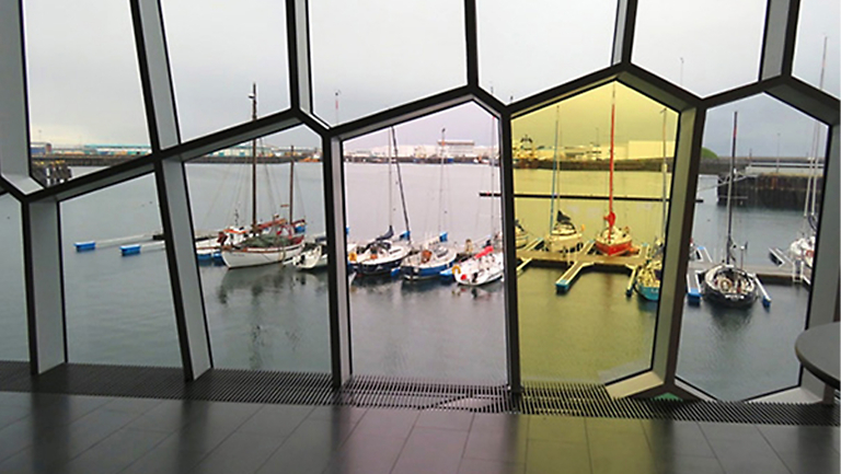 Immersed in Black and White