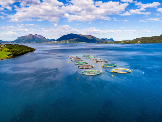 8a98047481814f7dbf78af4f00d00761