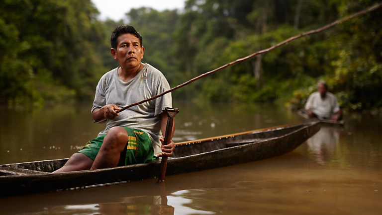 How Stingless Bees Support Indigenous Peoples in the Peruvian Amazon