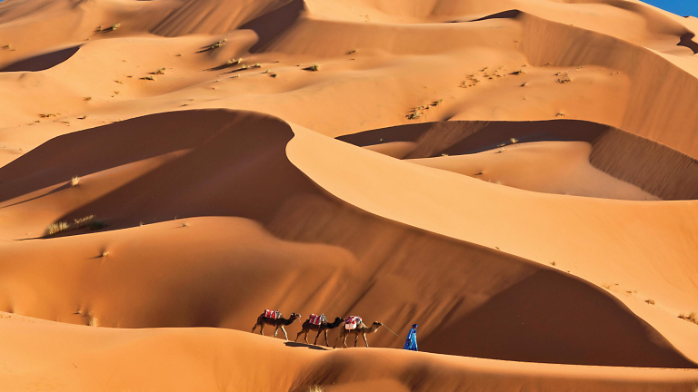 Top 10: Adventures for a 2025 Winter Getaway