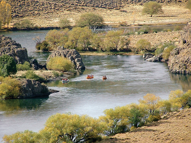 f711ac19849842c6ba65af4f00dd77da