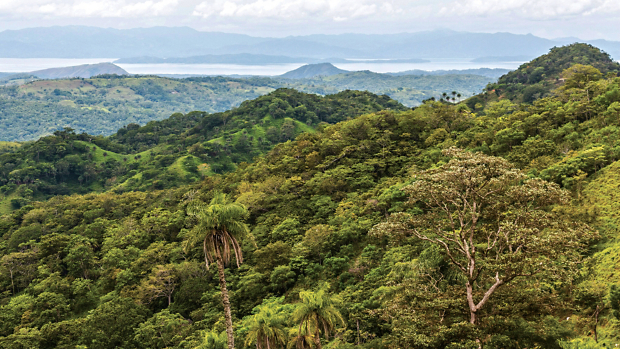 Costa Rica Treetops and Trails: An Active Journey