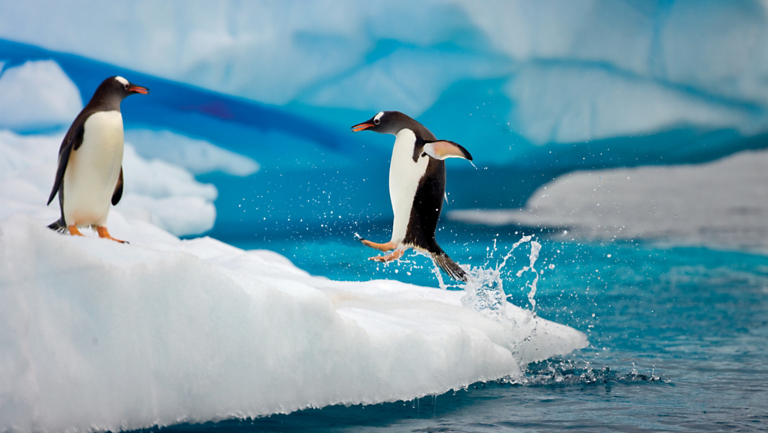 Third Time’s the Charm