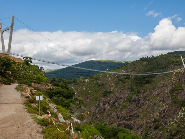 3d123f10cb624c4a95b3af4f00e59051