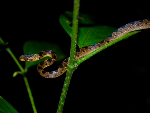 fda6a441ad4a4095a5a8af4f00c68e16