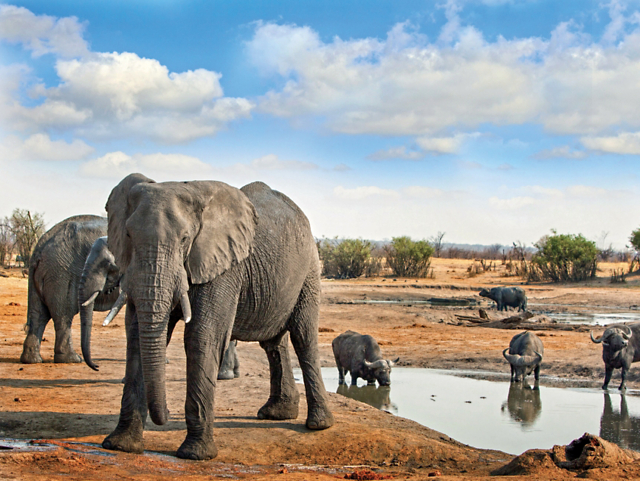 Ultimate Africa: Botswana, Zambia & Zimbabwe Safari