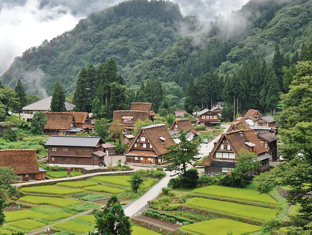 4e1a5493c0404eb4a0a4af4f0109f83b