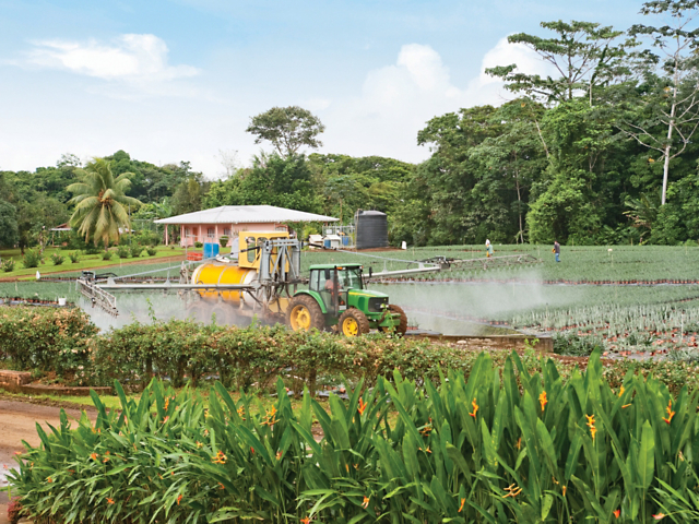 c3868f7731a04c06a058af4f010f4a0f