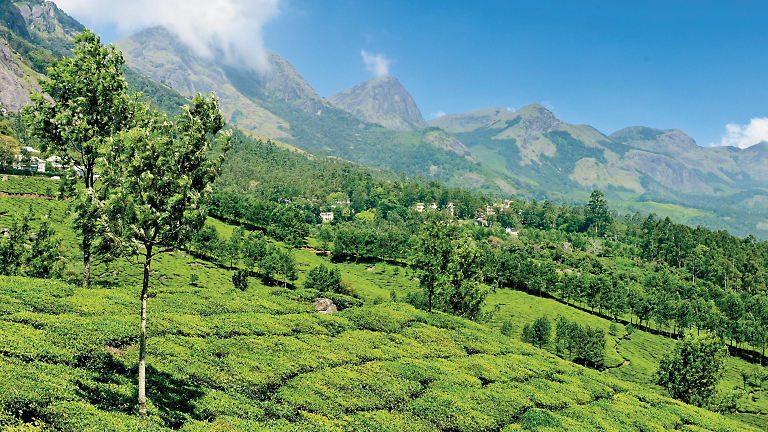 Baby’s Got Backwaters