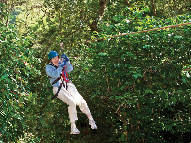 d3dc7e50fedc4ab88937af4f011c485c