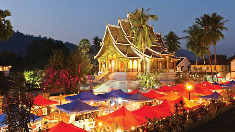 Go Your Own Way: 9 O.A.T. Adventures with FREE Single Space Added