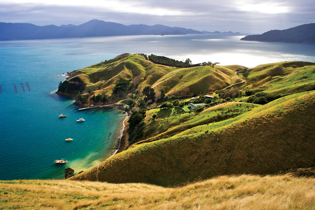 A South Pacific Odyssey: Australia, the Outback & New Zealand