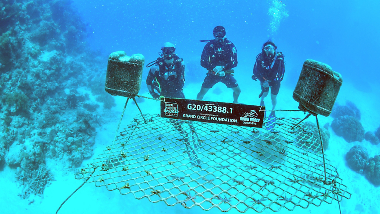 Giving Back to the World We Travel: Great Barrier Reef Coral Nurture Program