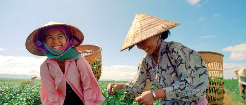 Vietnam Travel Trivia, Tip Your Hat