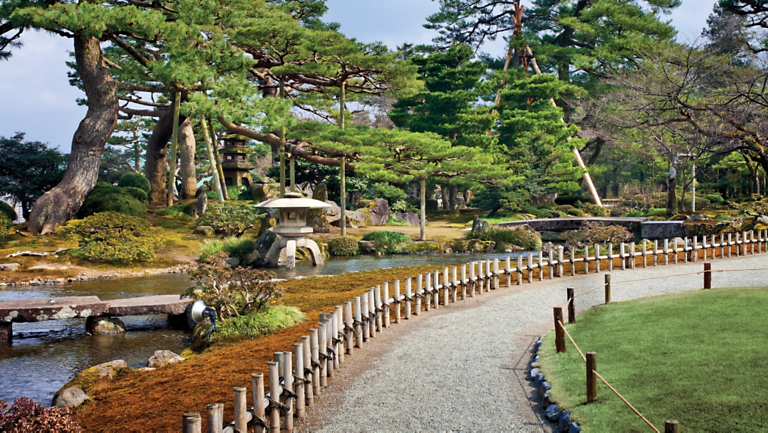 Soak it In: The Art of Forest Bathing—Japan's Natural Stress Relief