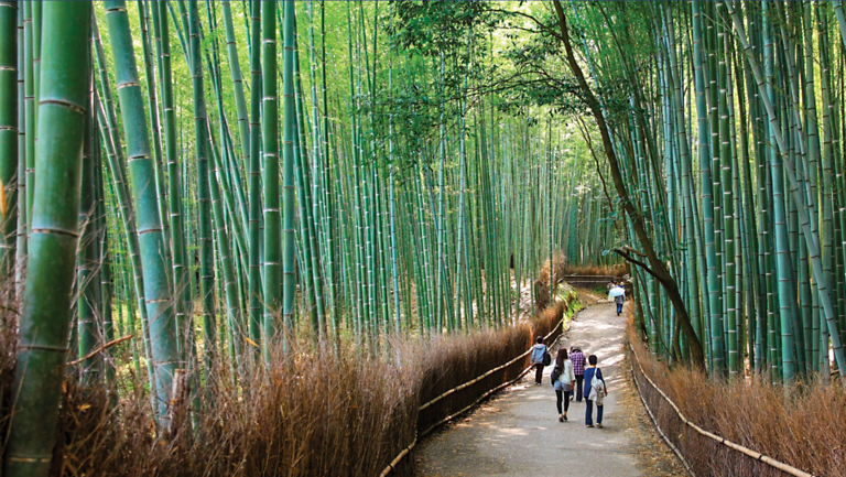 World's "Most Beautiful Destinations" You Can Visit on 10 of O.A.T.'s Most Popular Adventures