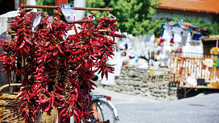 Harvesting Hungary’s "Red Gold"