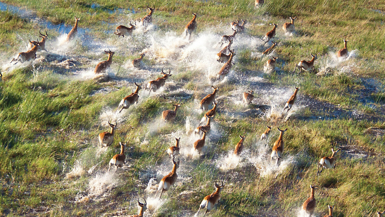 Top 10: Most Popular 2025 Adventures with FREE Single Space Still Available