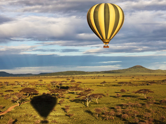 39f51ab34b824d41a1a2af4f0135806b