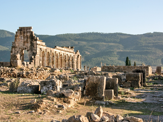 87314fe3eba2454cb7b8af4f0139bad4