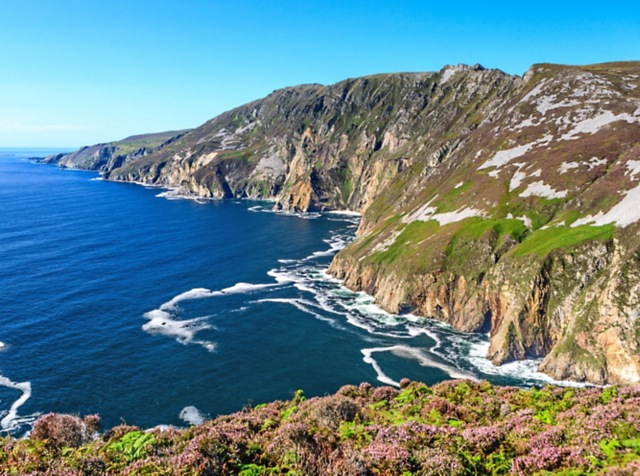 03f5b33ece9349a09e3aaf4f014d8c66