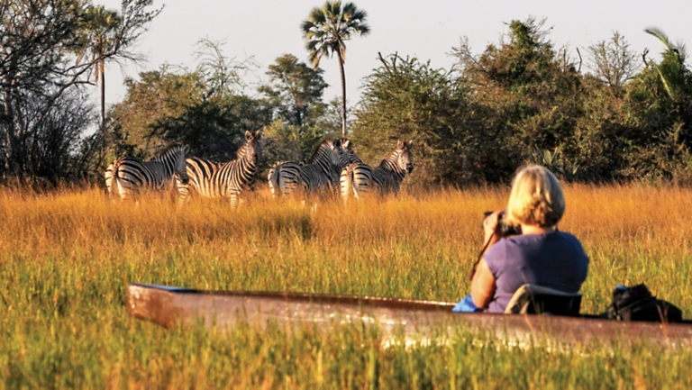 Top 10: Adventures for Wildlife Encounters