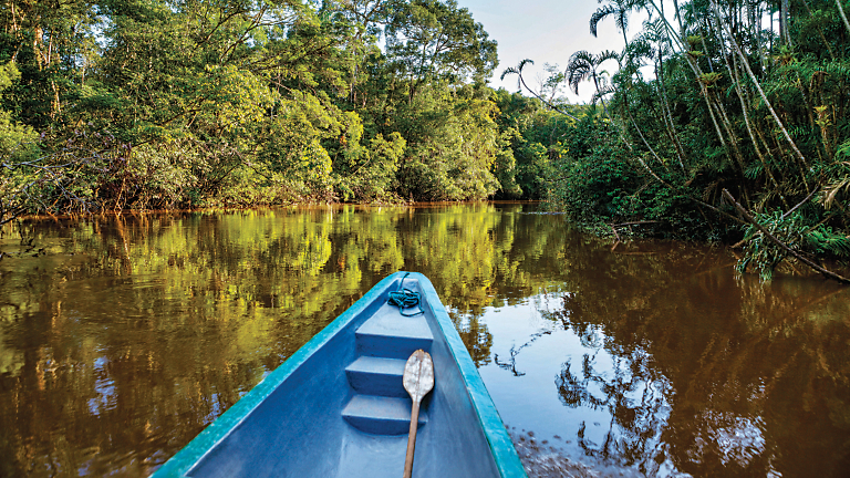 Awakened by the Amazon: Daily Life & Wildlife