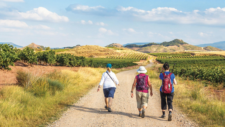 Survey Says: Improving How We Gather Traveler Feedback … and Why it Matters