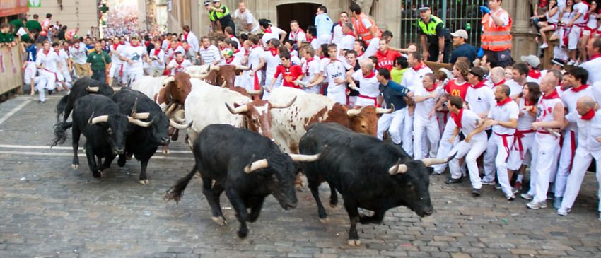 running of the bulls in spain