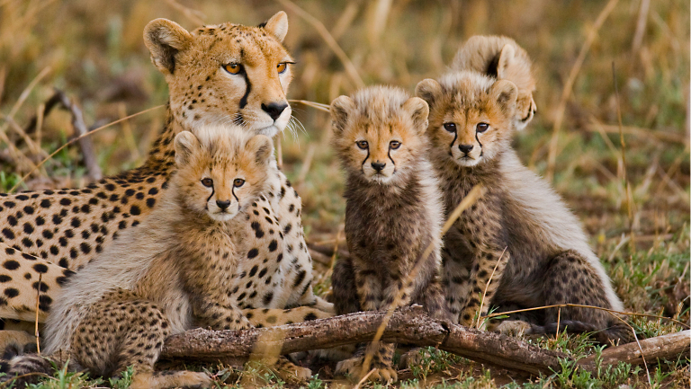 Top 10: O.A.T. Adventures for Nature Photographers